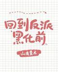 娱乐圈归国第一人