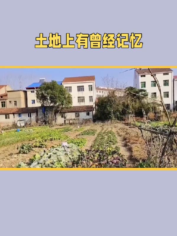 缠枝(贵族学院文np)作者咖啡不加冰