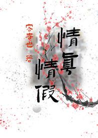 陆鸣的全集