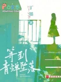 百衍成仙周末