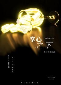 海贼王间谍是谁